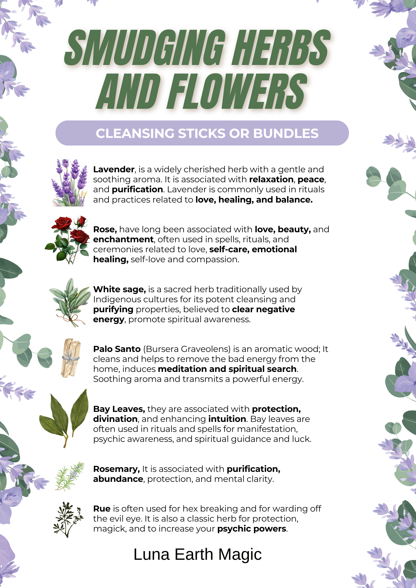 A colorful informational poster about herbs and flowers used for smudging, with descriptions and illustrations of lavender, rose, white sage, Palo Santo, bay leaves, rosemary, and rue, highlighting their properties and uses.