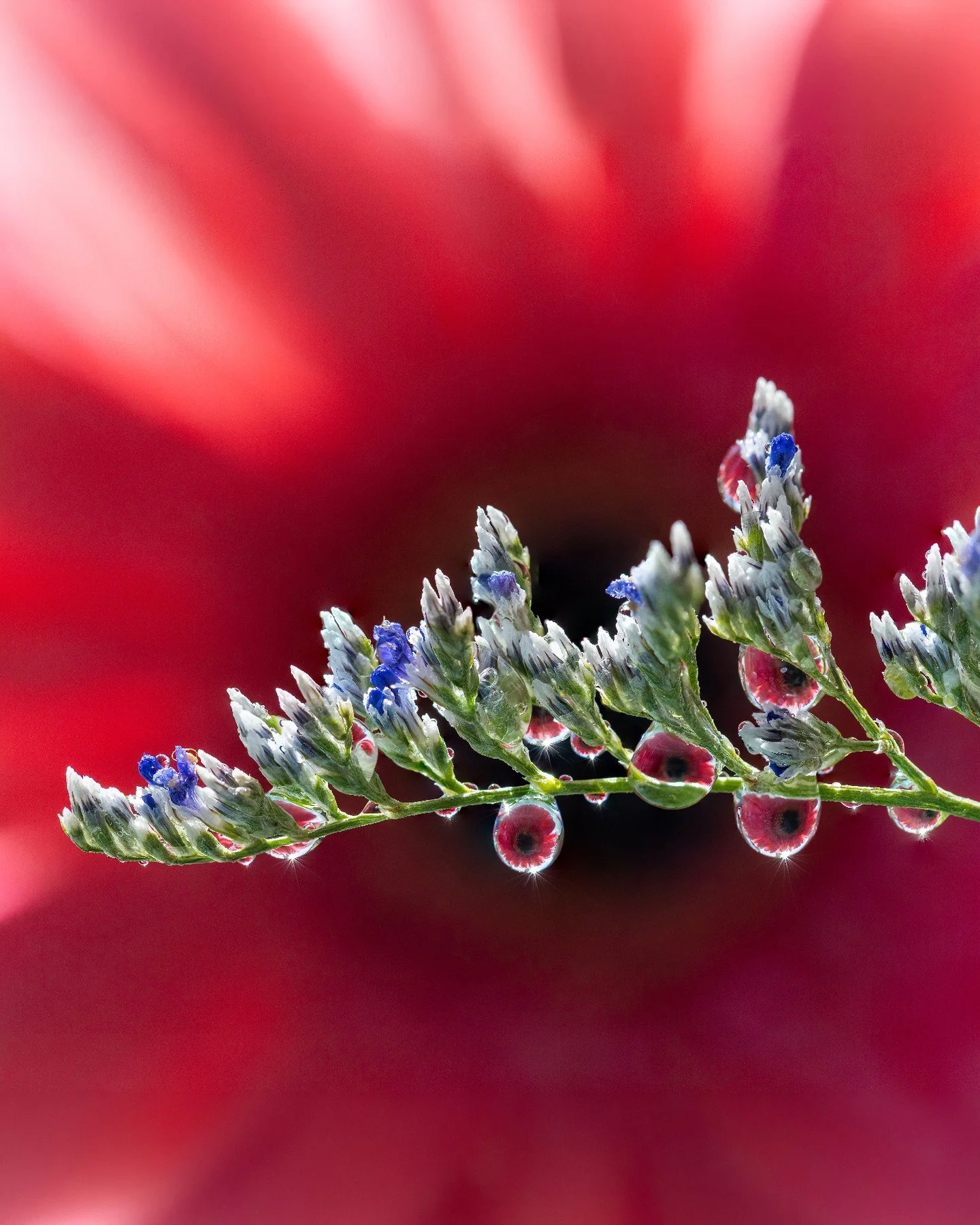 For some reason, this was a challenging week. I felt crappy, had no energy, and just wasn't inspired for my photo of the week. I tried a couple of ideas, but I wasn't happy with the results.

I've been working on giving myself more grace lately. Not 