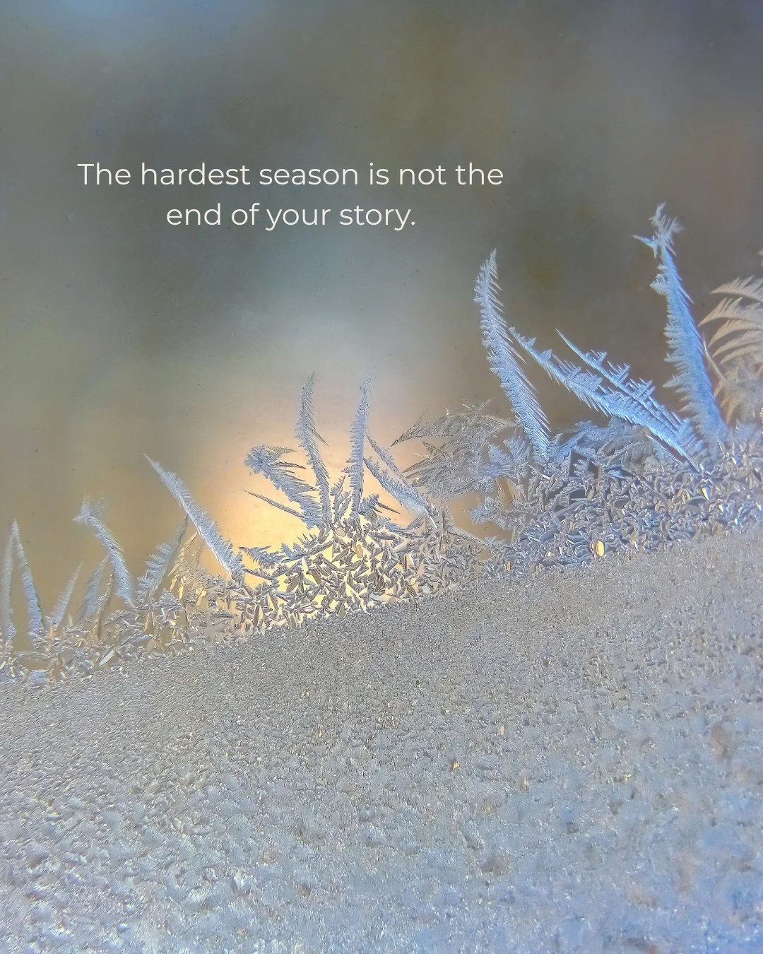 There was a season when I lost almost everything at once.

My marriage. My sense of who I even was anymore. My health. The community I loved and had poured myself into for years.

I had sold my studio at its peak. 900 students, a team I was proud of,