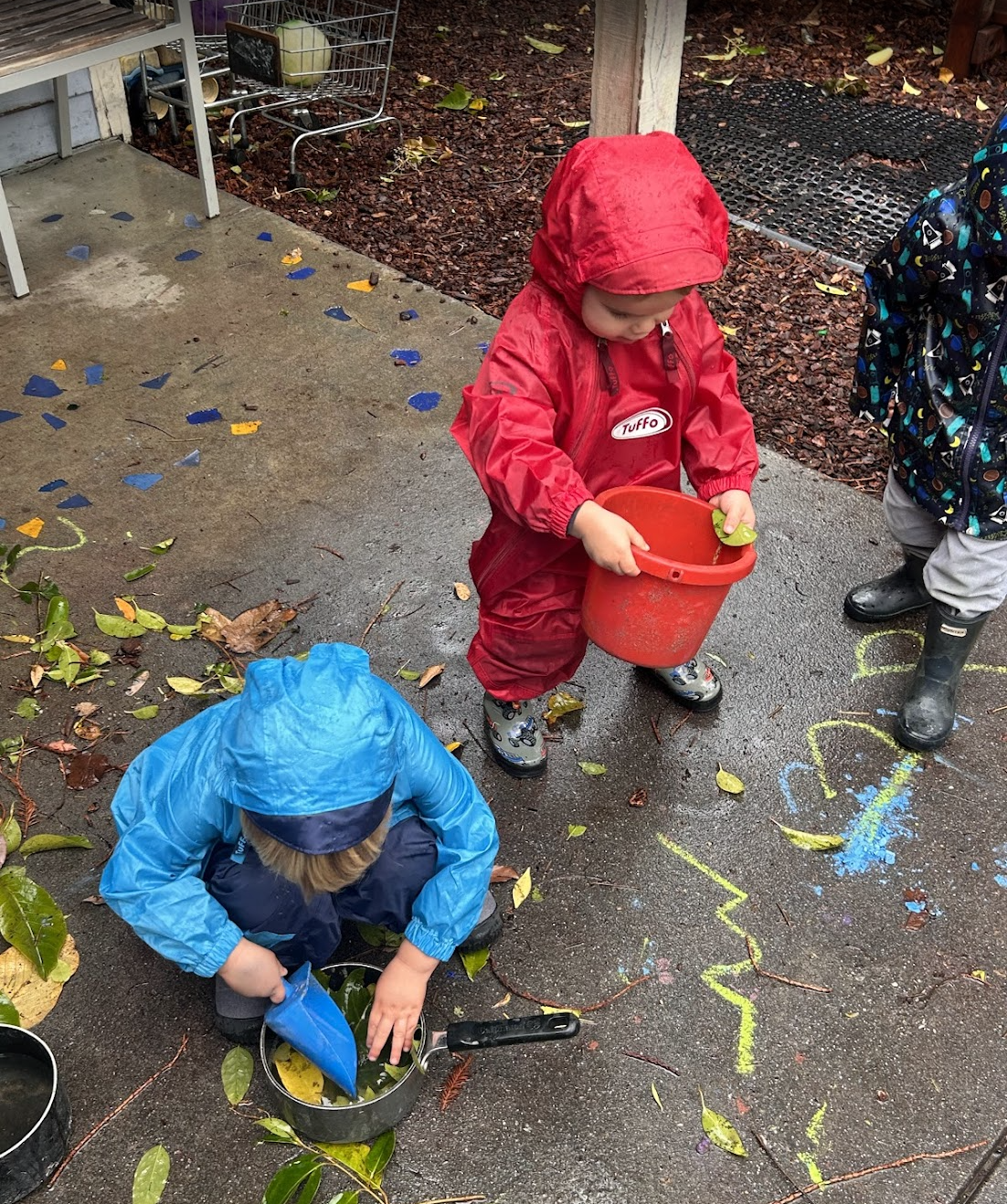 A Window into Our Classroom: November 2025 