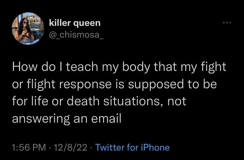 Person joking about their anxious nervous system about an email vs a life or death situation