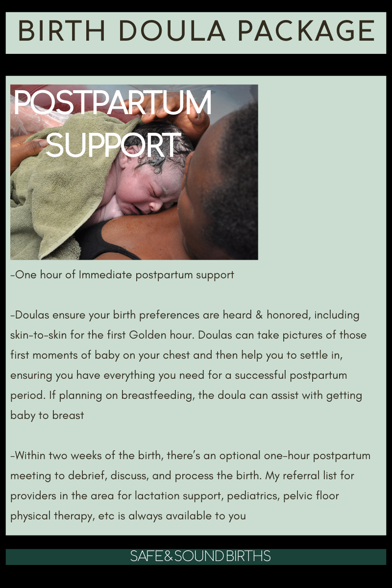 Annapolis Birth Doula Sarah Austin's birth package of Postpartum Support