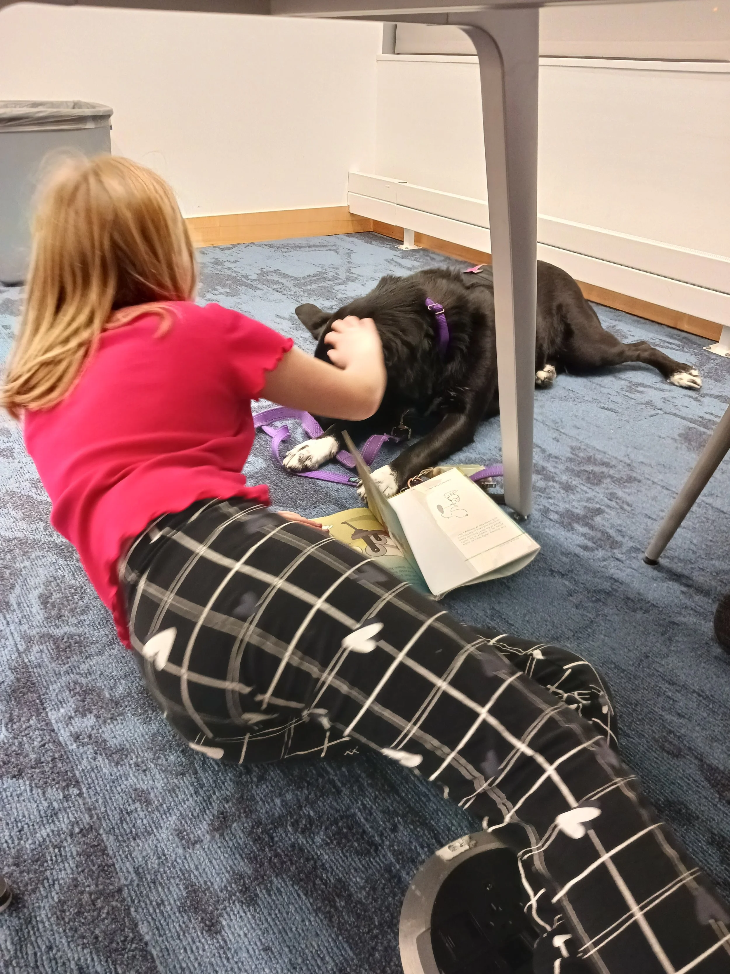 Anne Arundel County Public Library Paws to Read Event.