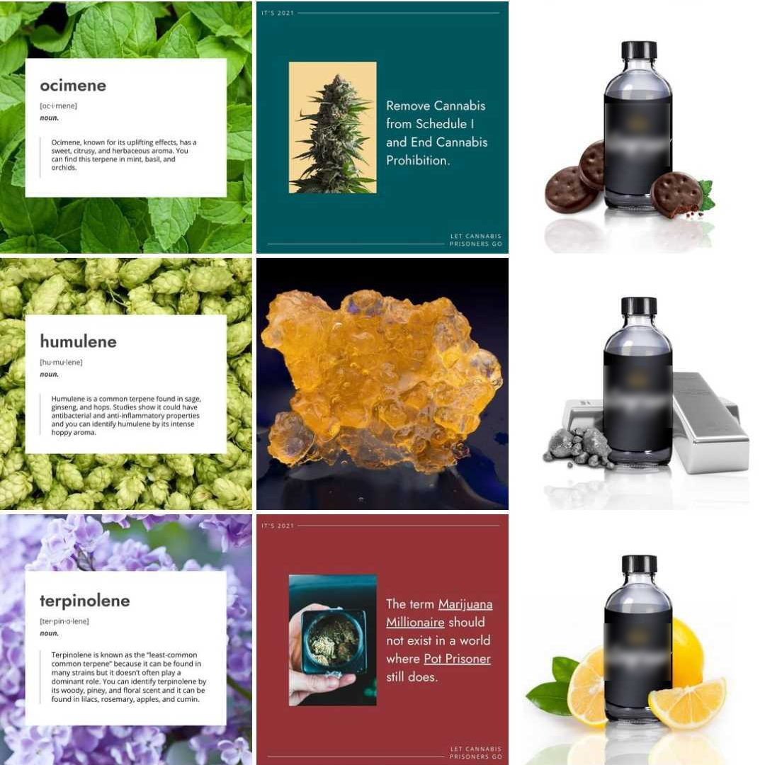 Terpene Client (IG Grid).png