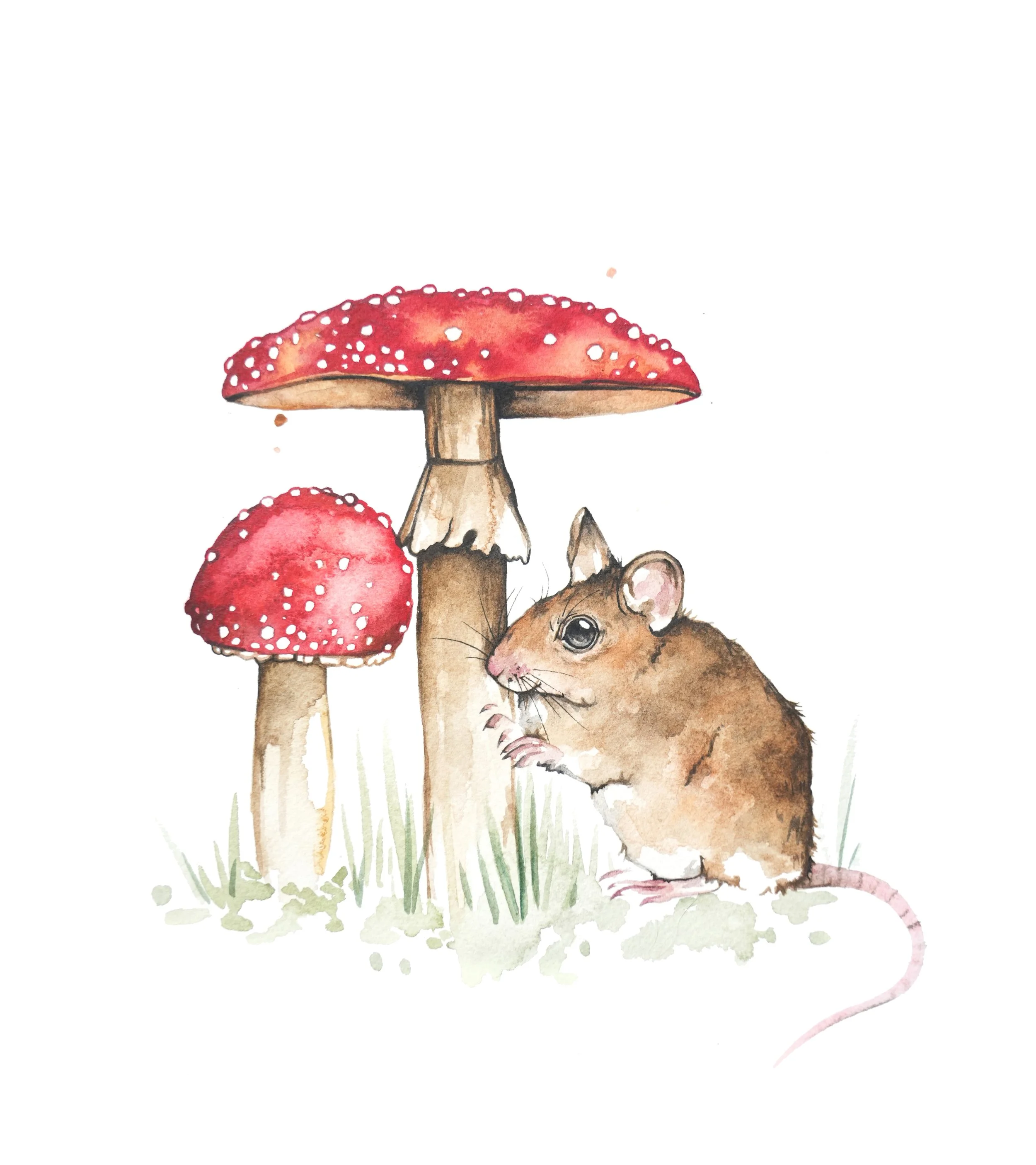 mousemushrooms.jpg