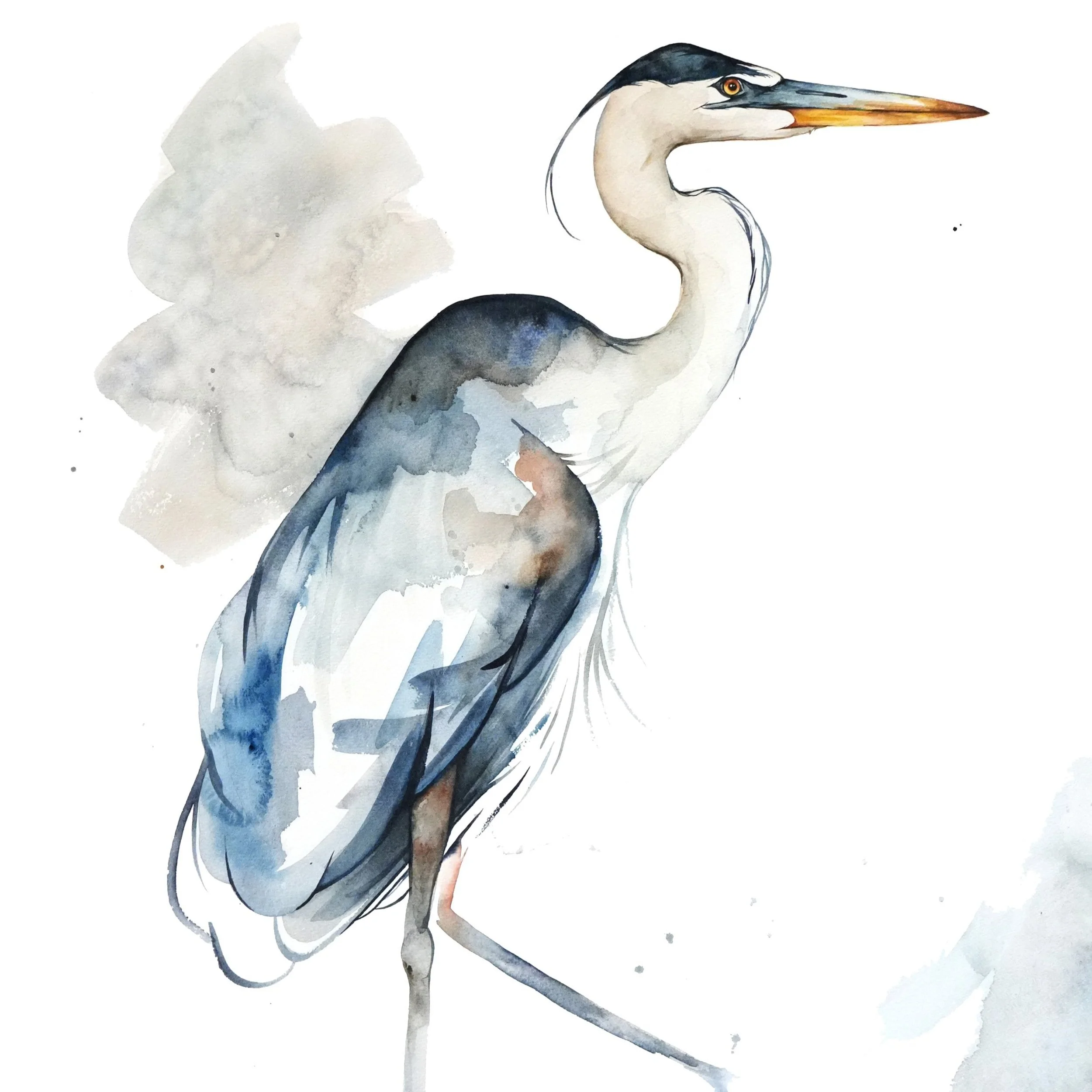 web_heron1.jpg