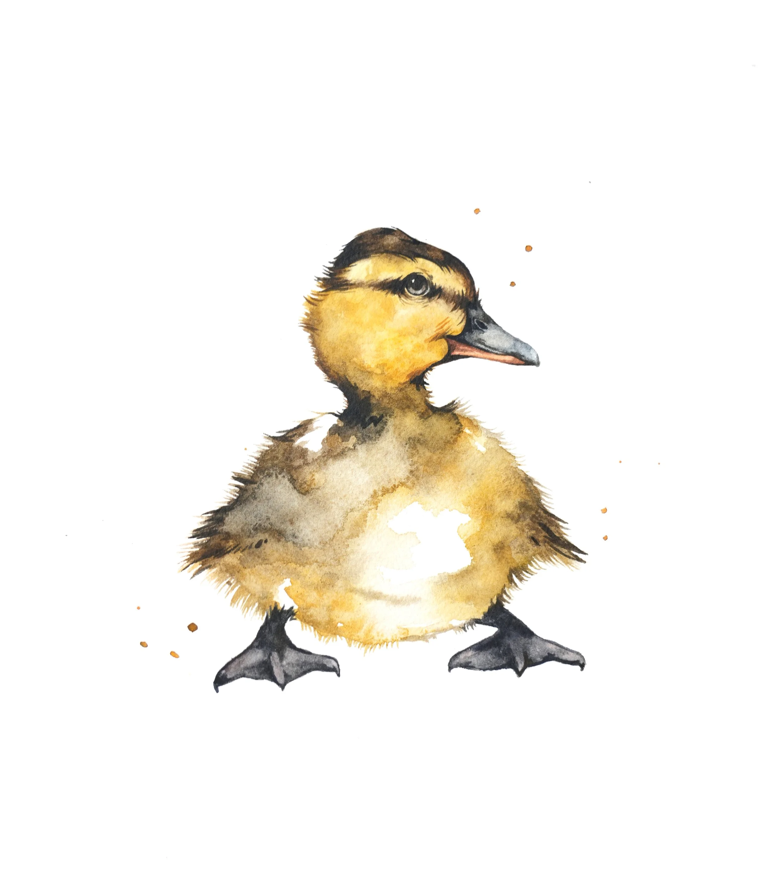 ducklingedit.jpg