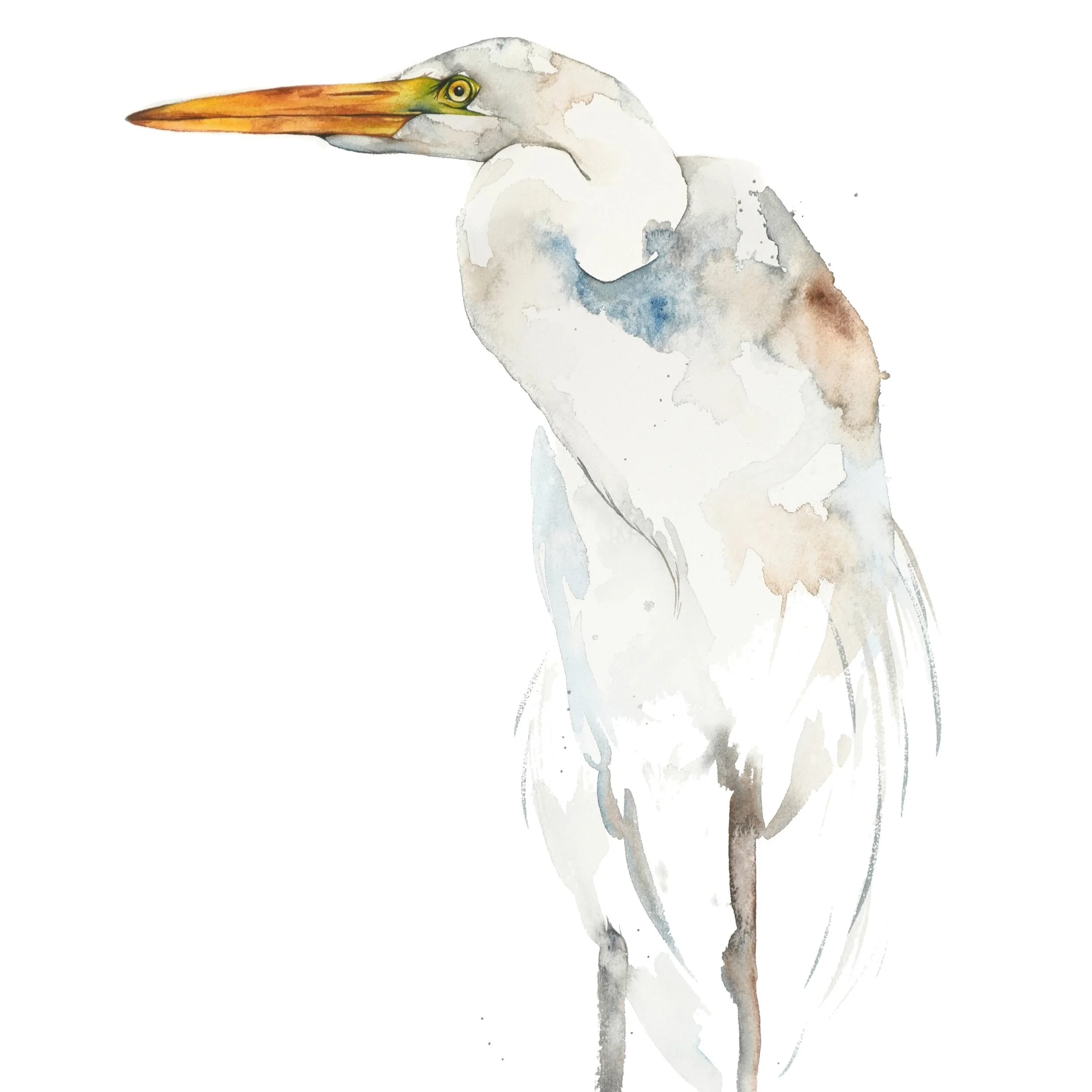 web_egret.jpg