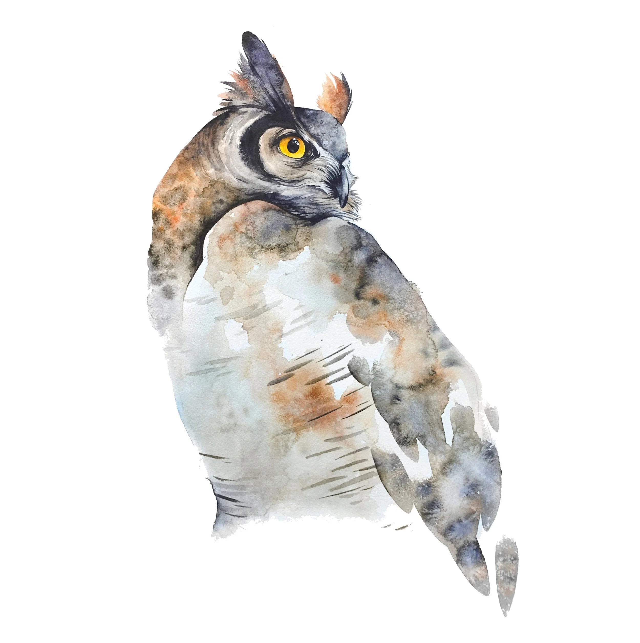 greathornowlsquare_1.jpg