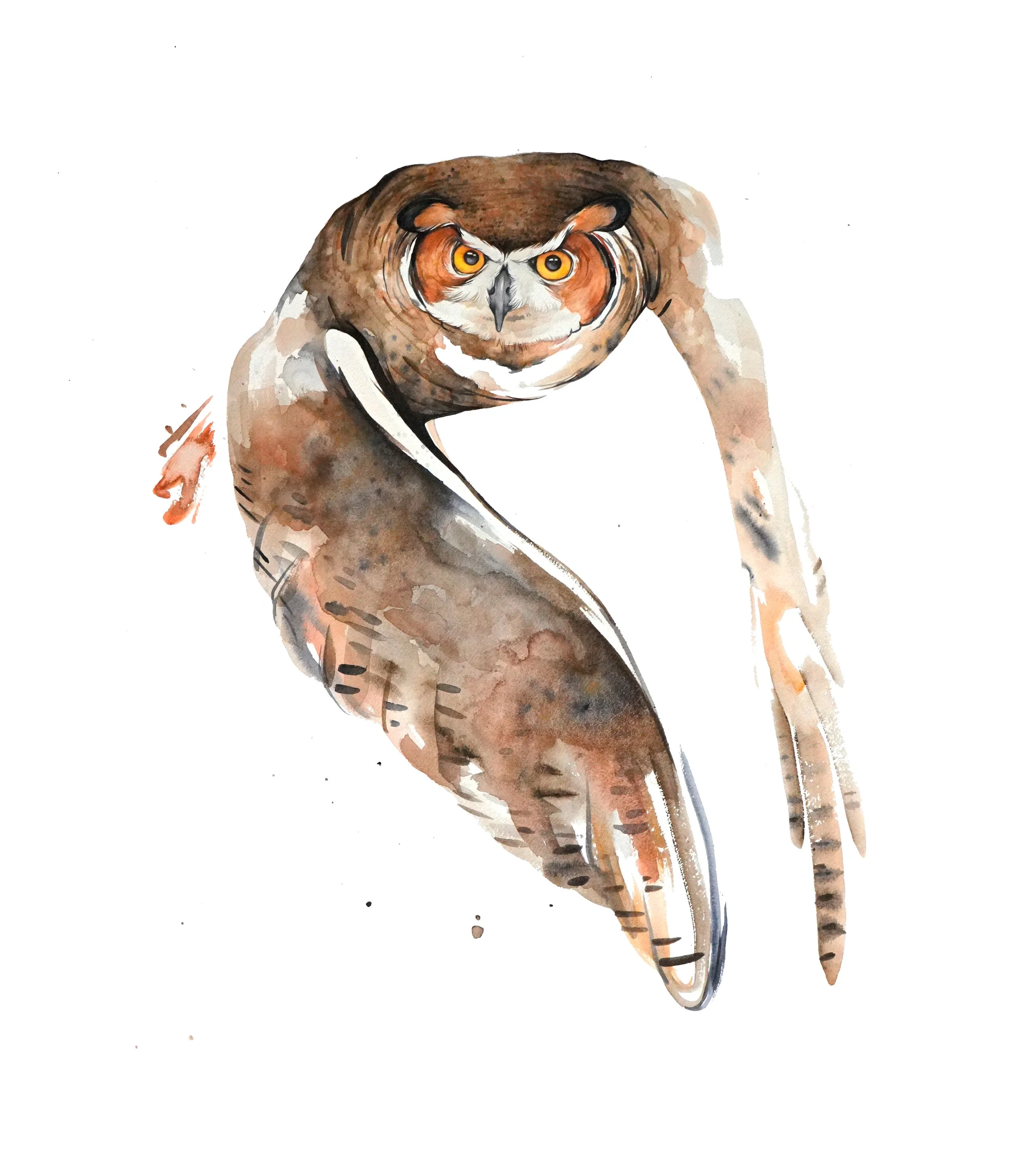 greathornedowlwhiteback.jpg