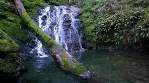A list of the best waterfall hikes in Sonoma, Marin and Mendocino