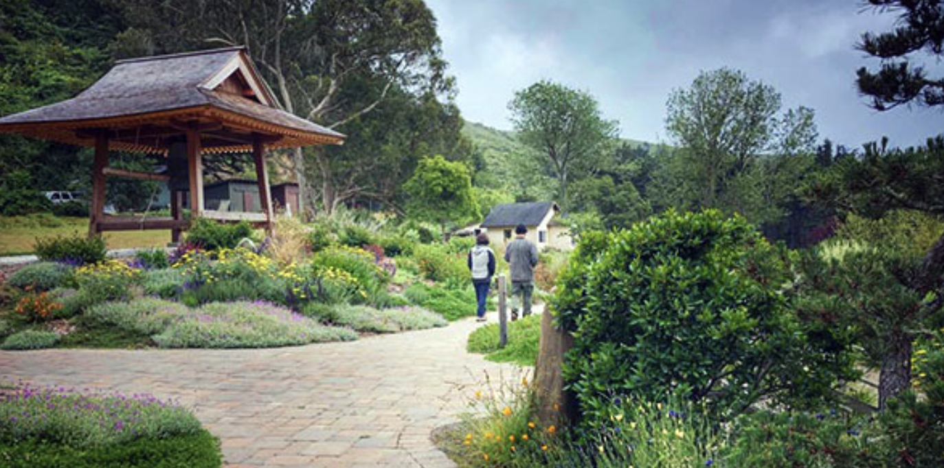 Discovering Green Gulch Farm in Marin County