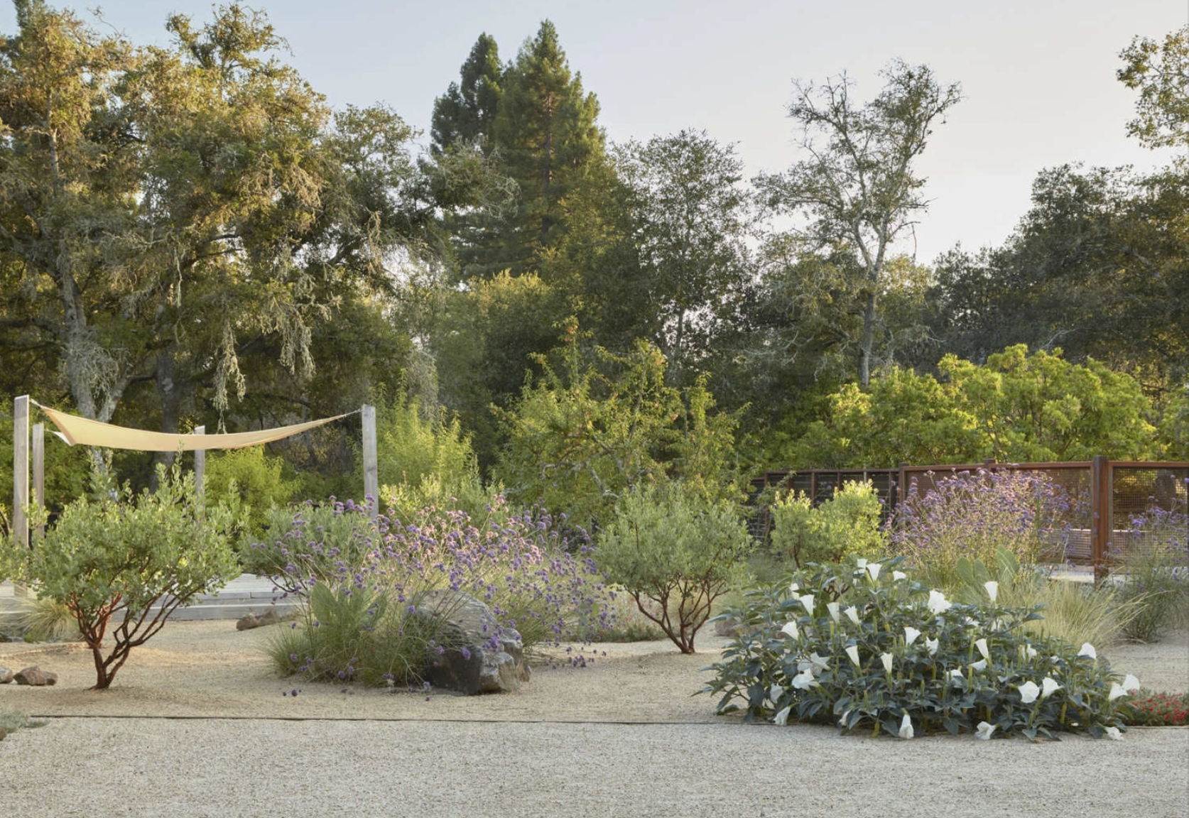 How to build a sustainable garden in Sonoma County