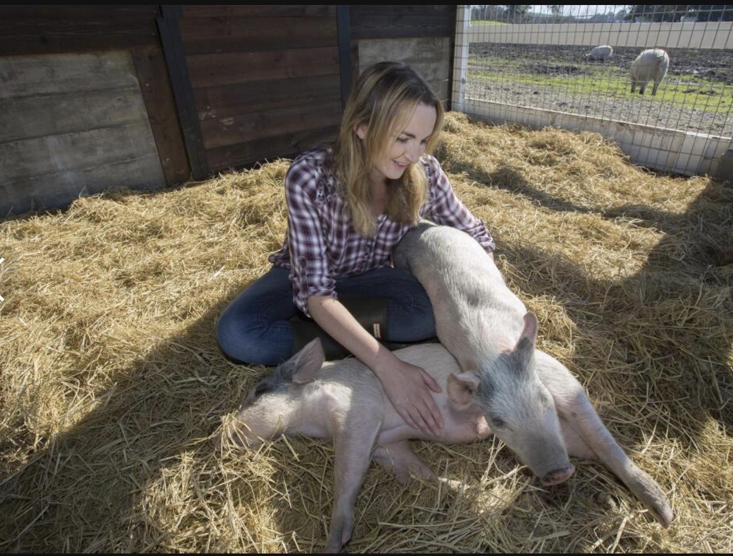 Sonoma Non-Profit | Charlie's Acres