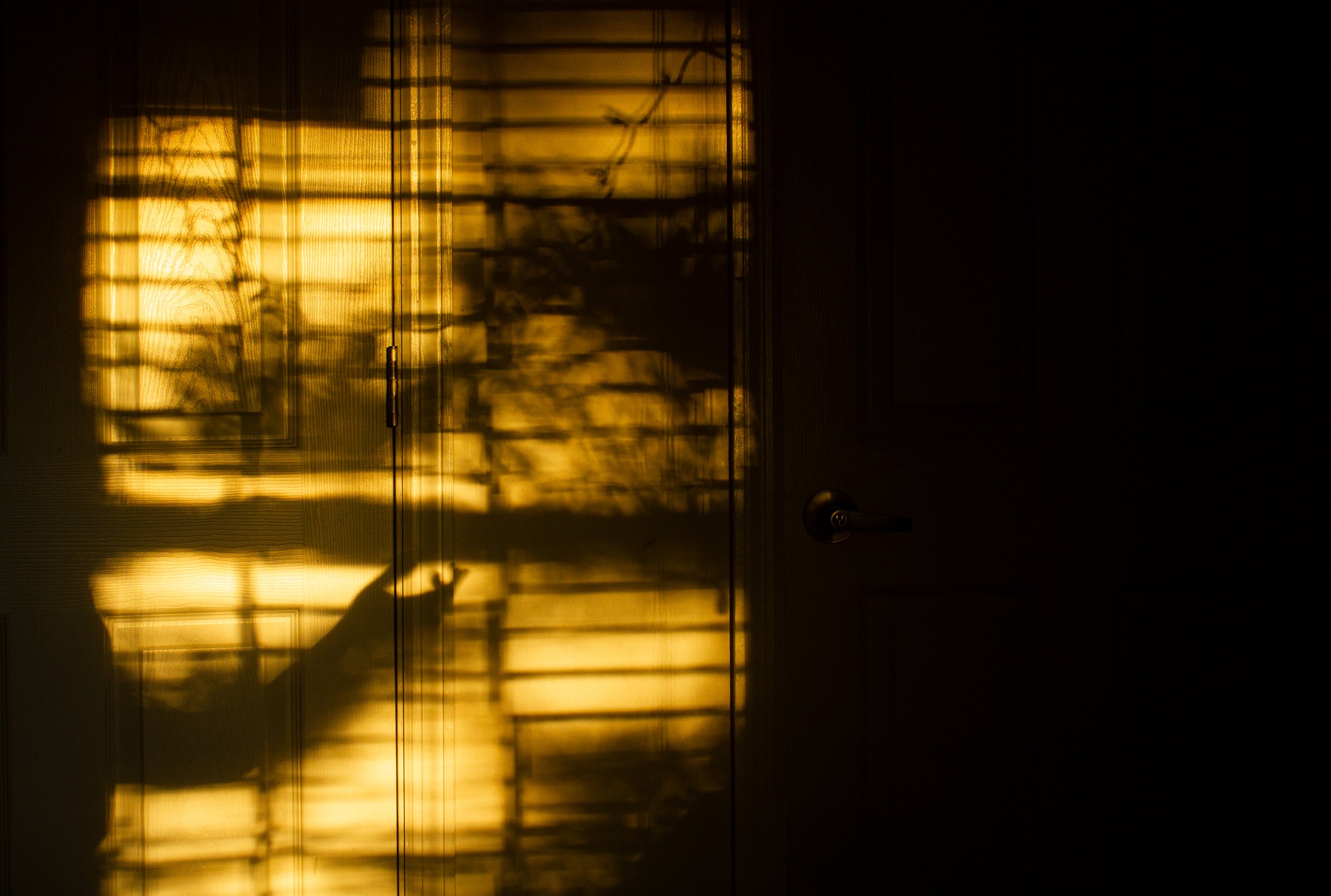 sunset 2.jpg