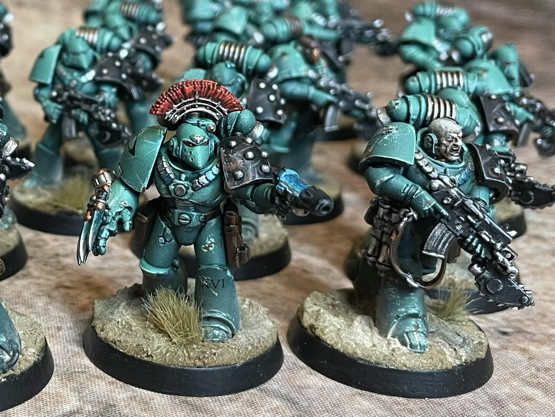 IMG_5347.jpg