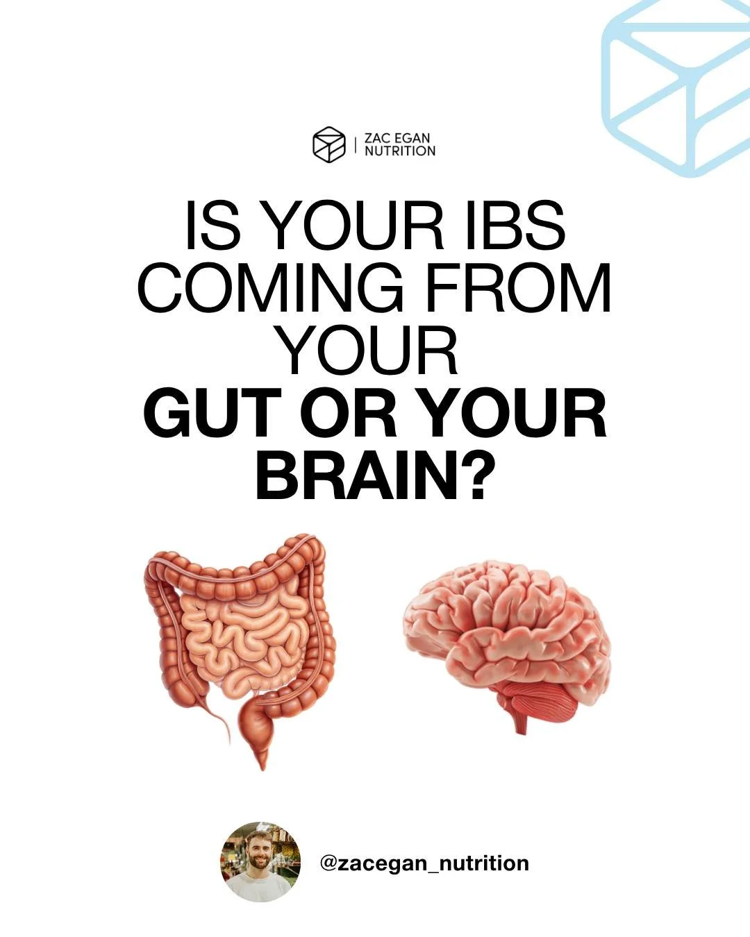 A recent study followed 112 adults with IBS as they completed a low-FODMAP diet and food reintroduction process over six months.

As expected, some people experienced significant improvements in their symptoms. Others saw only modest benefits, while 