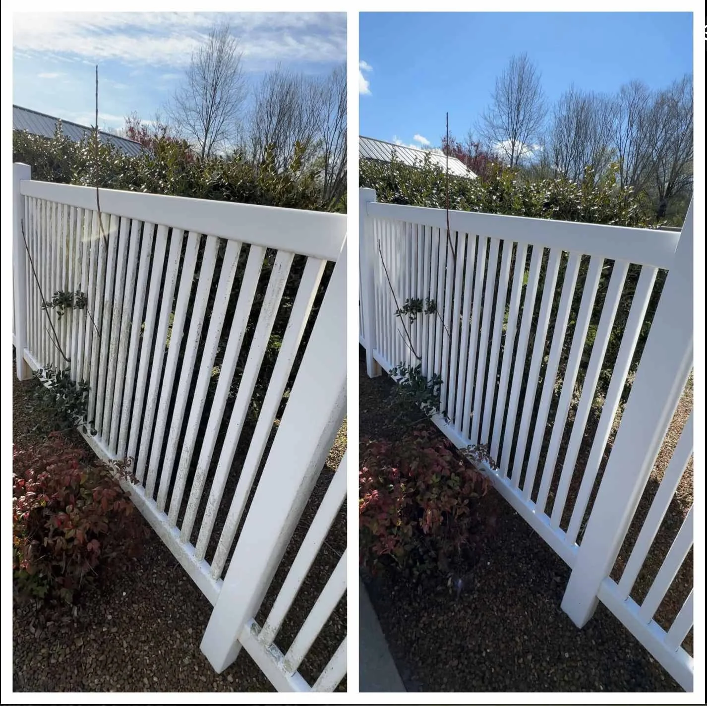 Before and after white vinyl fence pressure washing in McMinnville, TN, with green algae and dirt lifted off to restore the bright white finish.