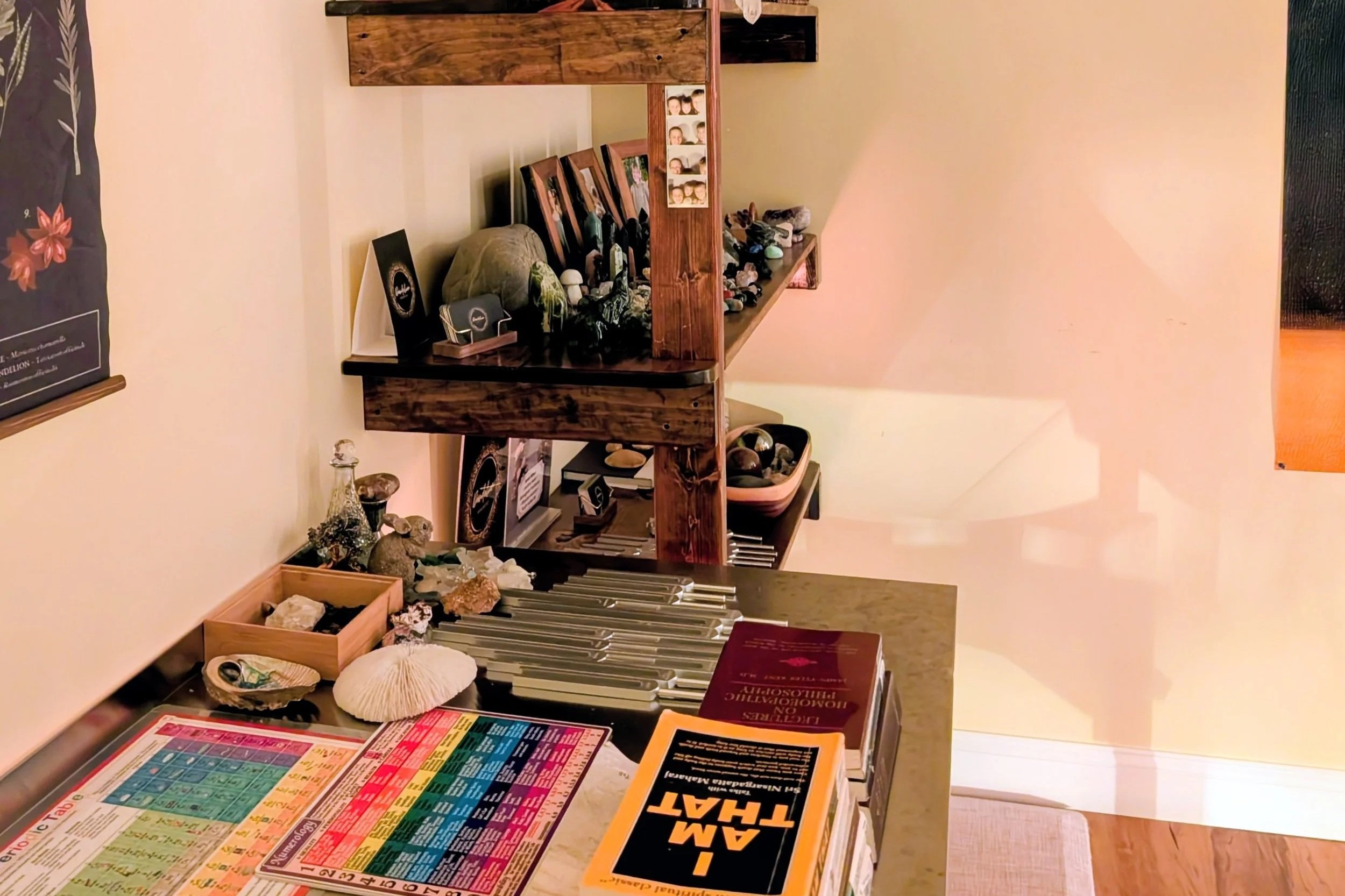 Medical metal surgical guides labeled with body parts such as adrenals, intestine, blood, pancreas, stomach, muscles, and bone, placed on a stainless steel tray.