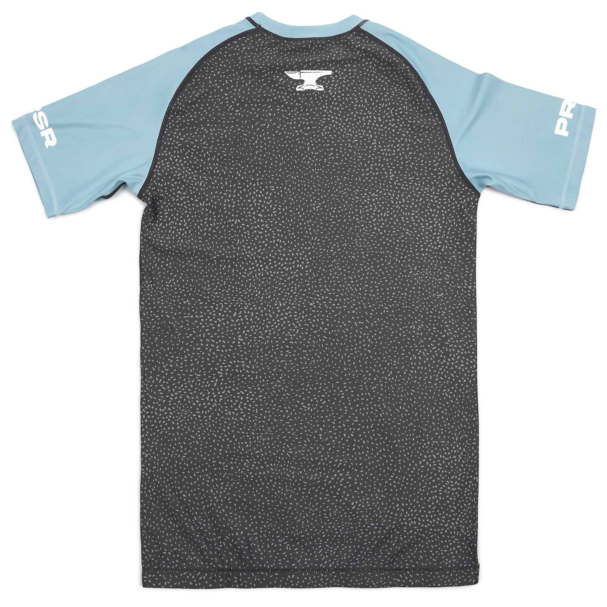 prsr_speckles_back copy.jpg