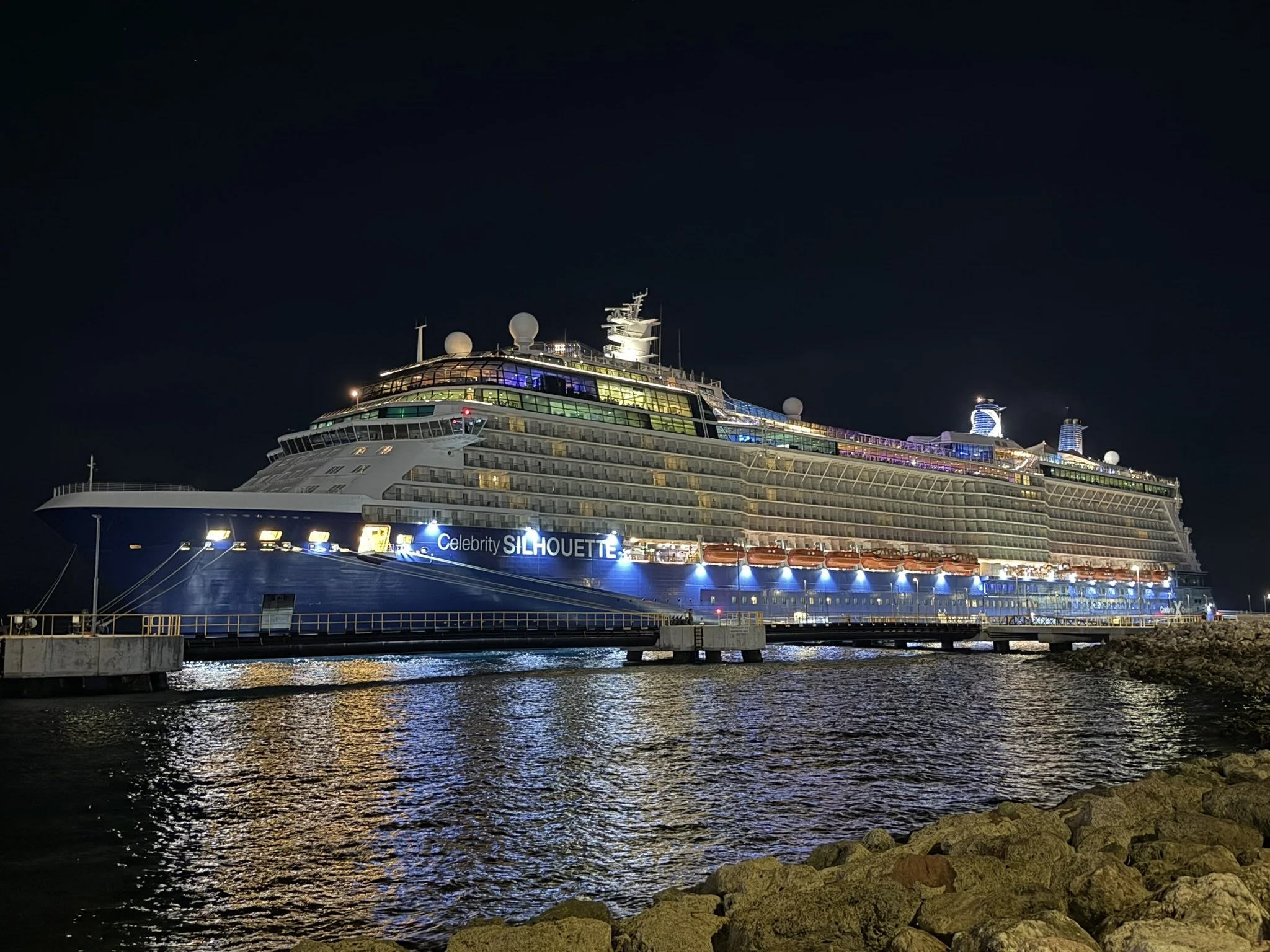 CELEBRITY SILHOUETTE
