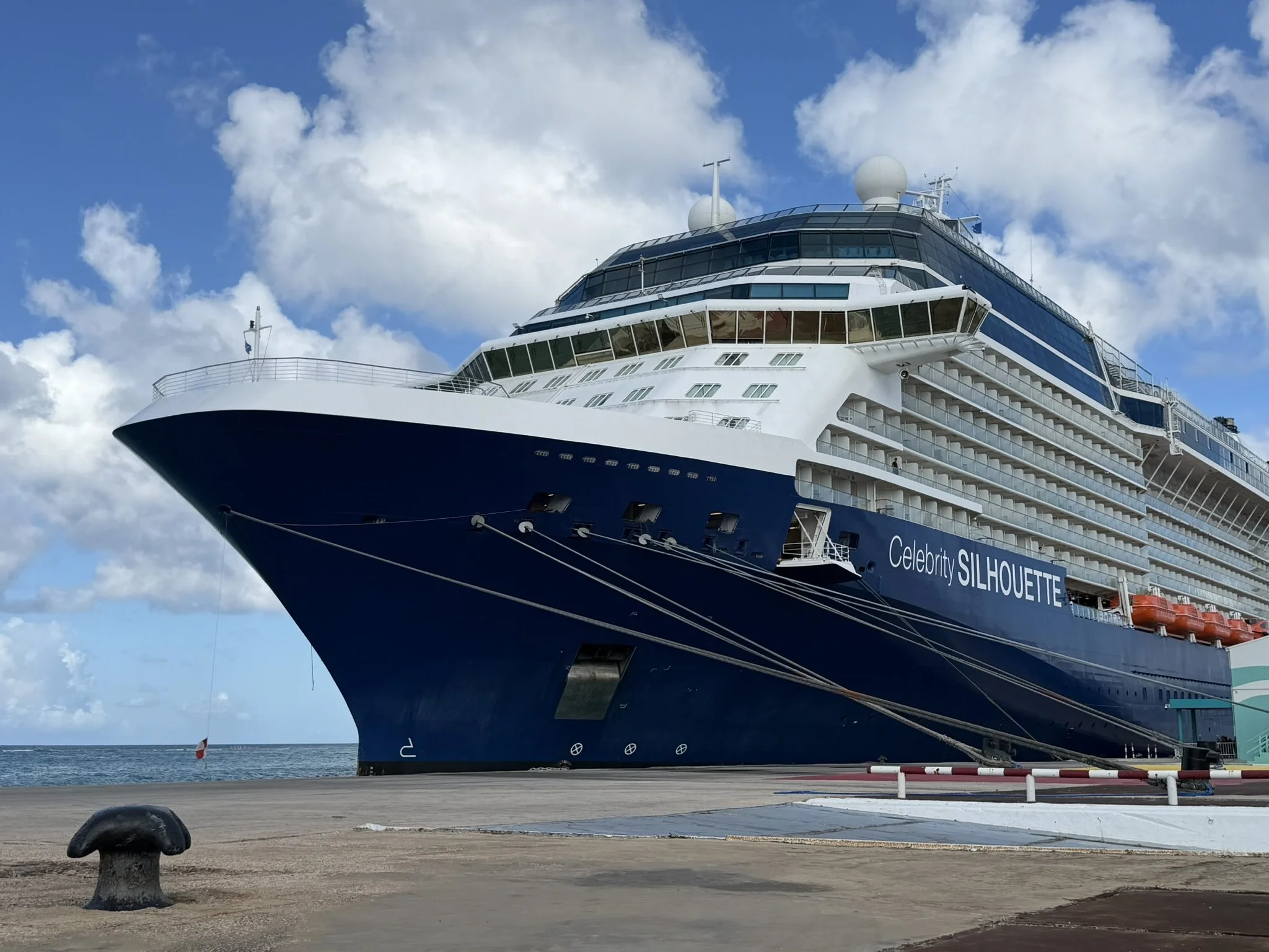 CELEBRITY SILHOUETTE
