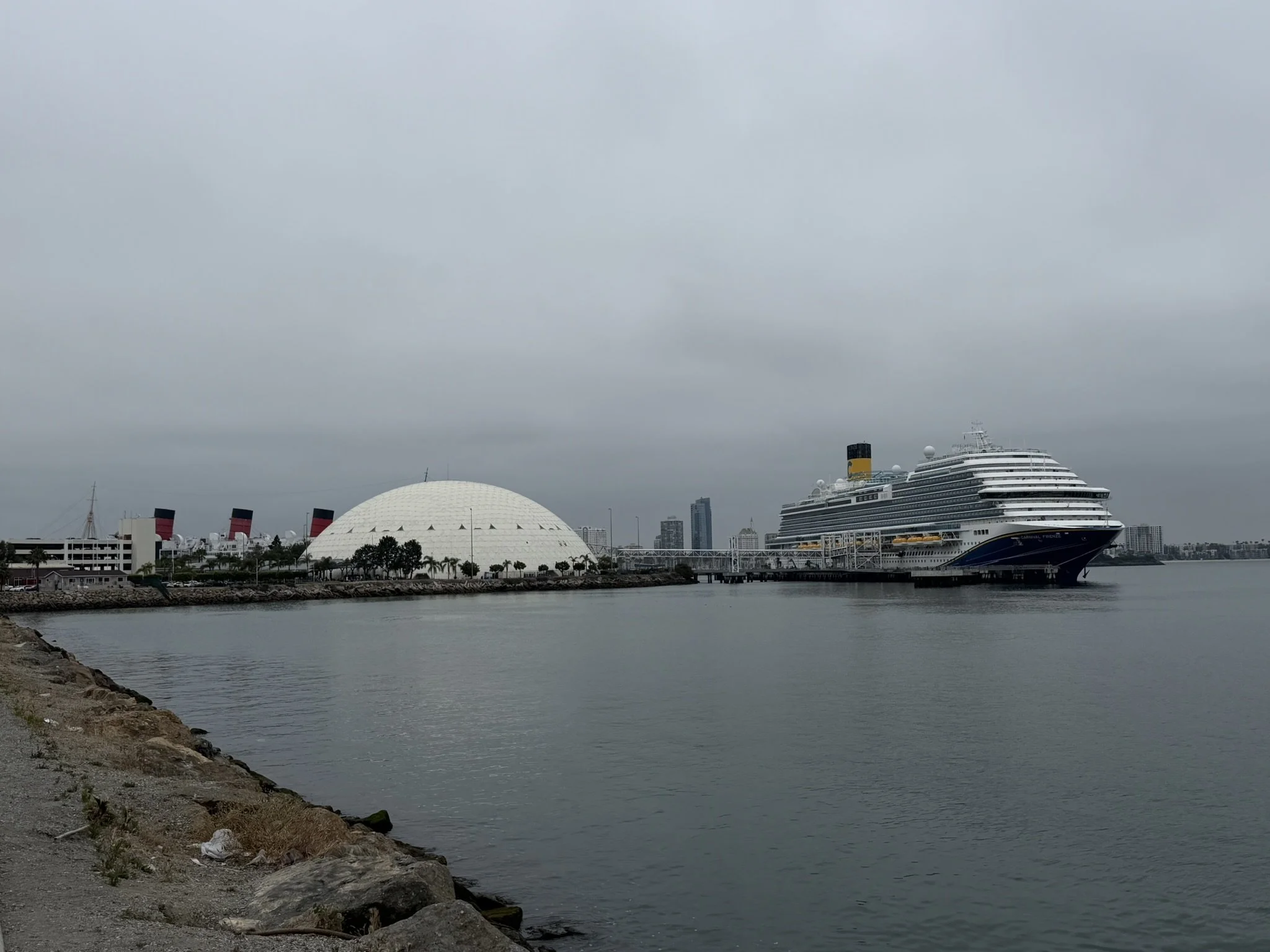 IMG_8784.JPEG