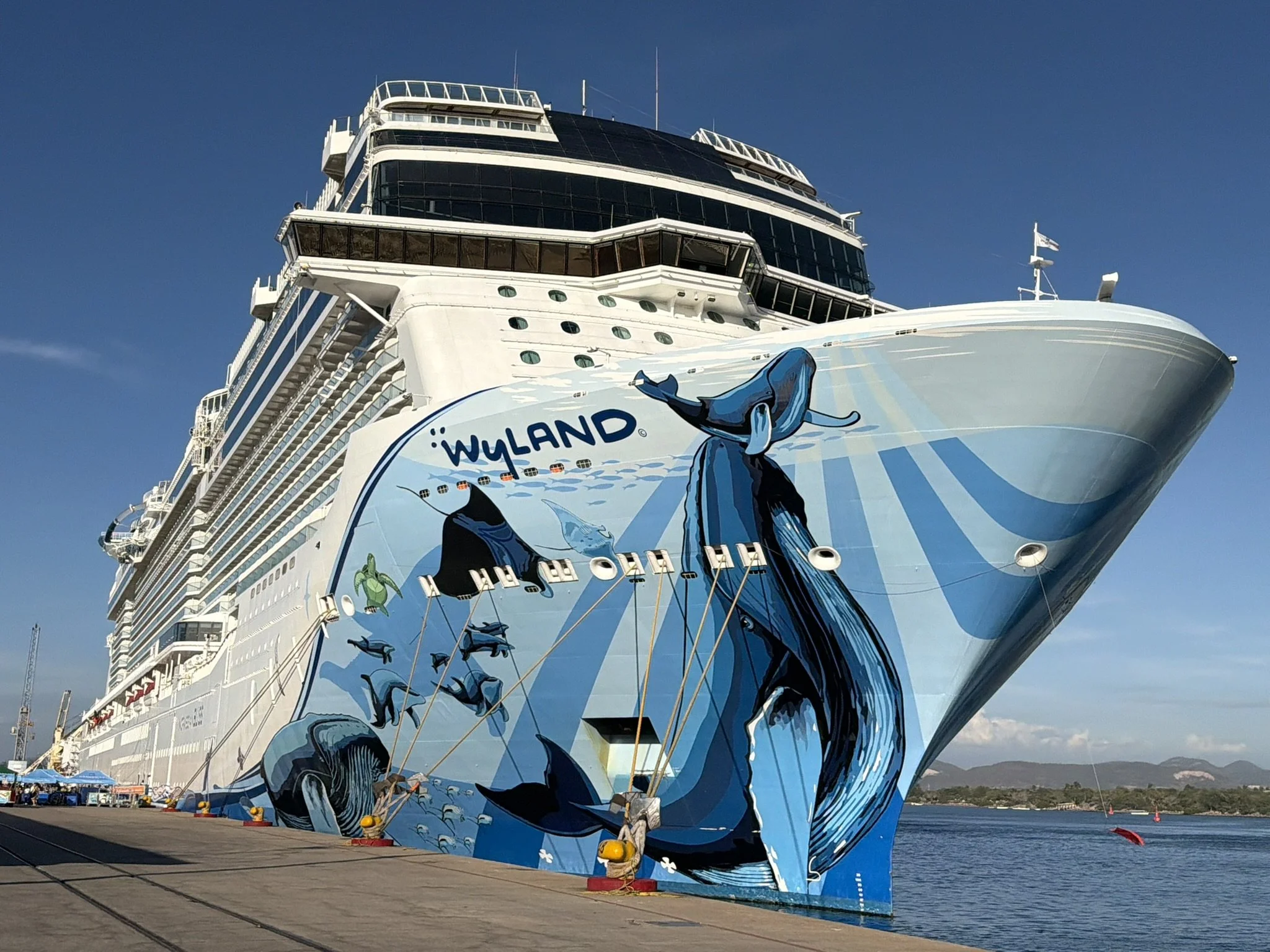 NORWEGIAN BLISS