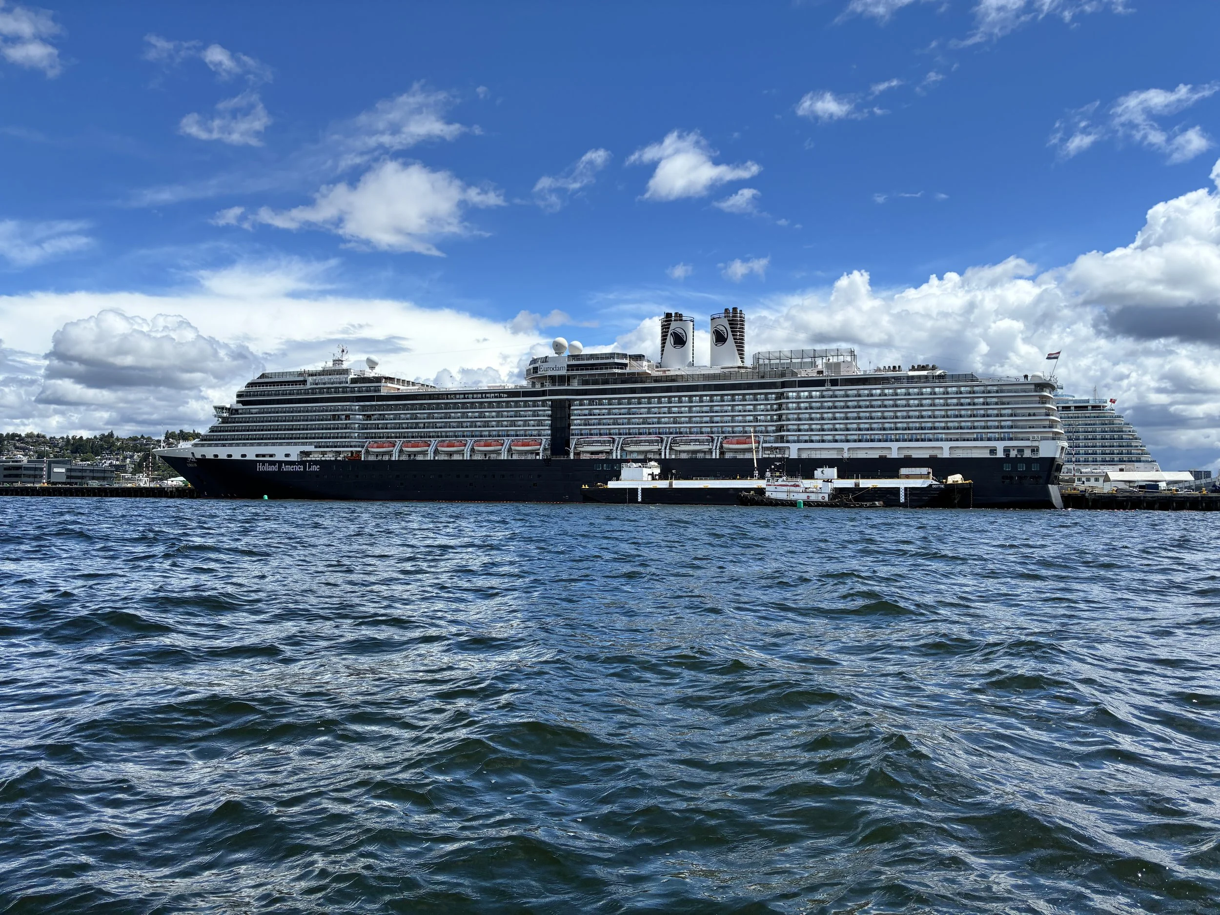 EURODAM