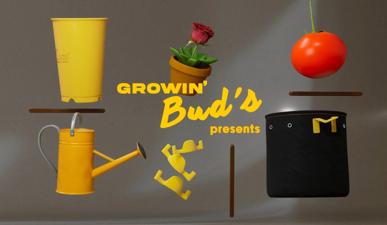 BudTrainer - Motion Design