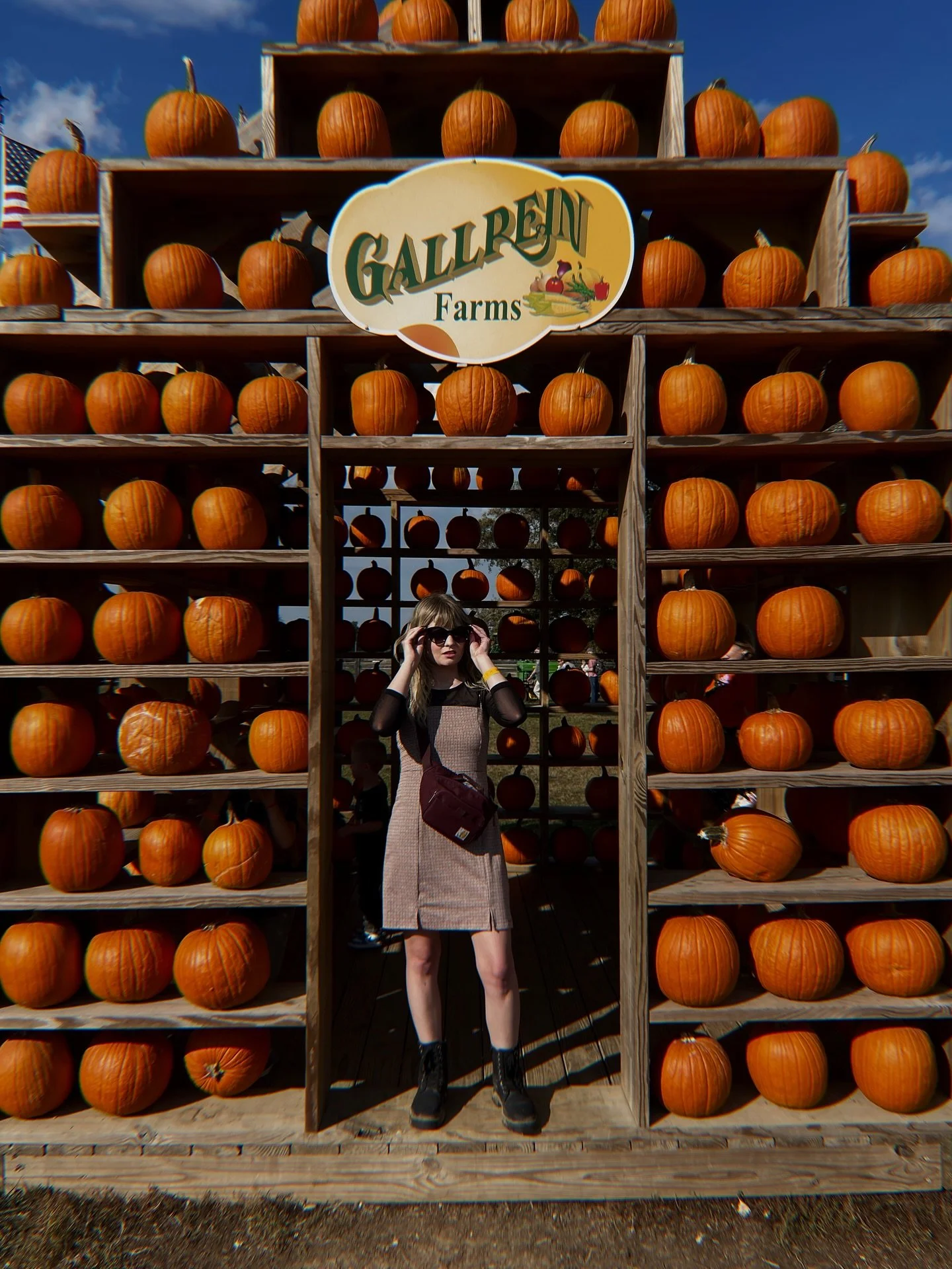 Happy #NationalPumpkinDay 🎃 
Here&rsquo;s a peek at a day well spent among the pumpkins @gallreinfarms, fueled by apple cider slushies &amp; donuts 🍂🍎

#partnership #louisvillehummingbirds @hummingbirdshq @louisvillehummingbirds