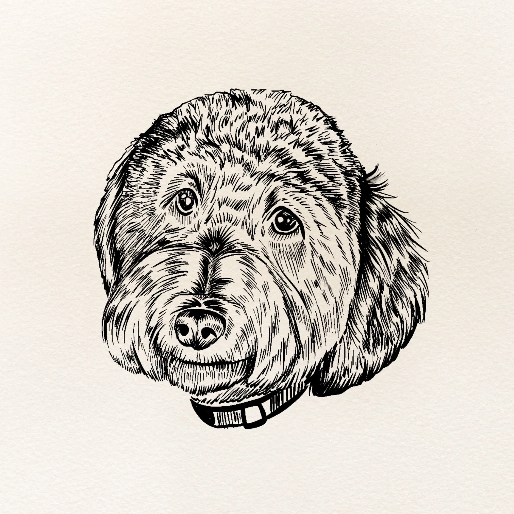 Pet Portraits 1.jpg
