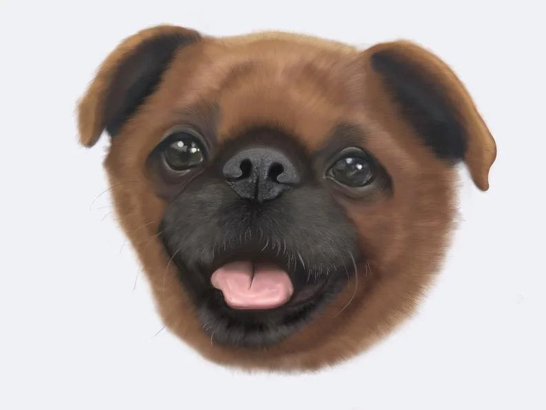 Pet Portraits 14.jpg