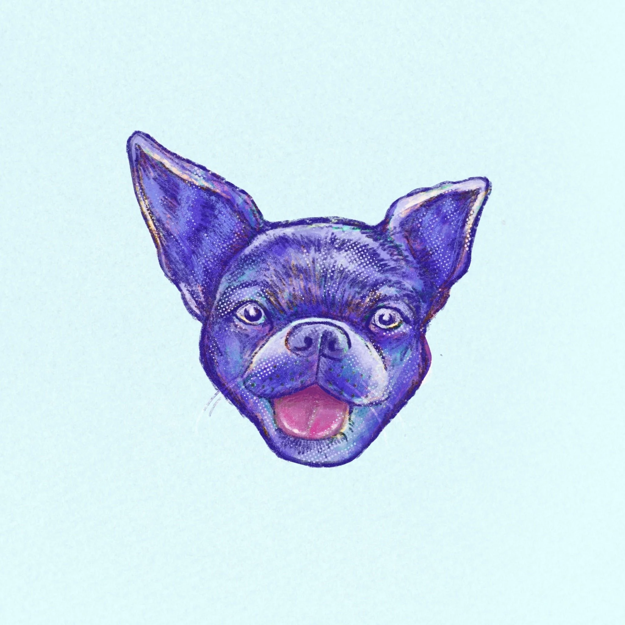 Pet Portraits 4.jpg