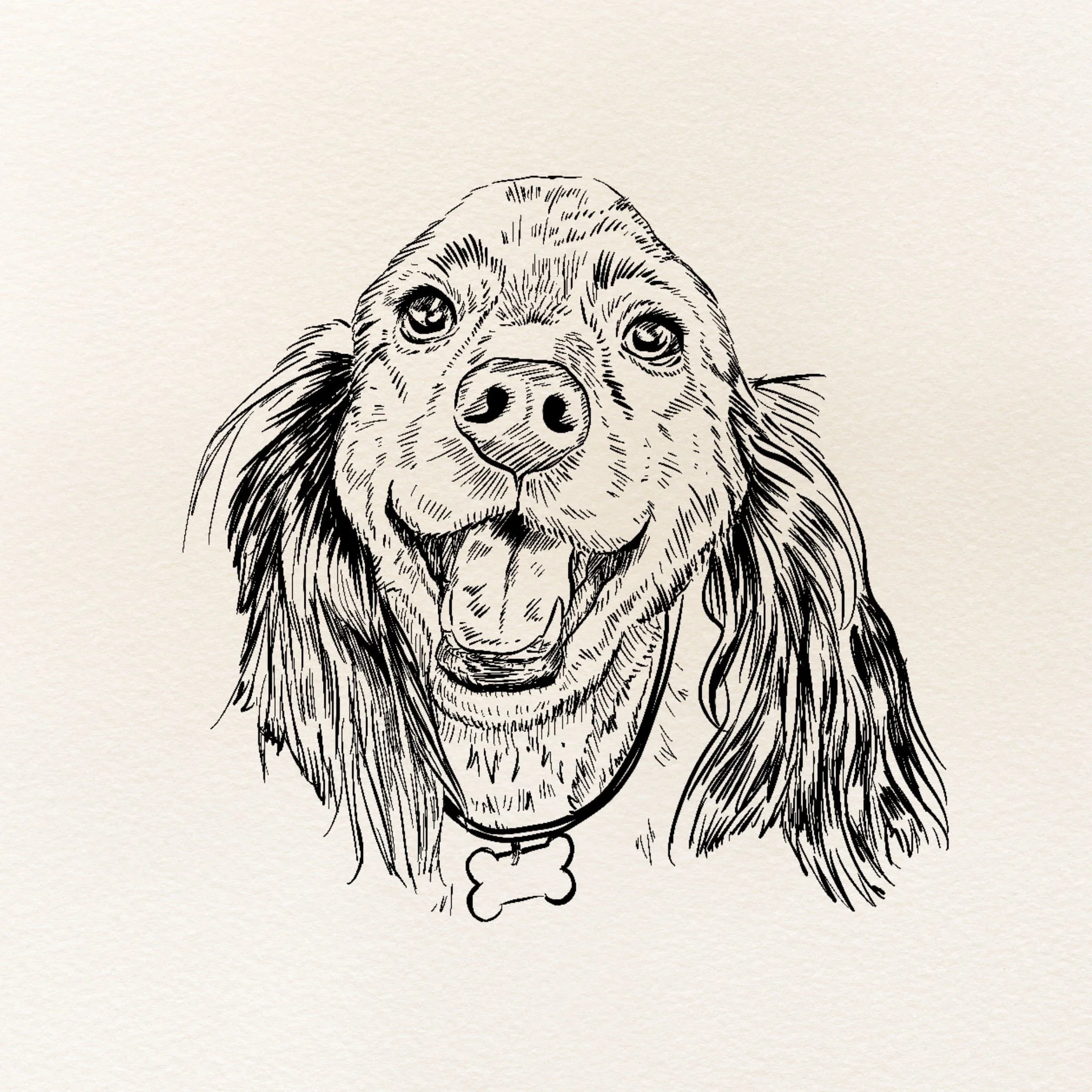 Pet Portraits 2.jpg