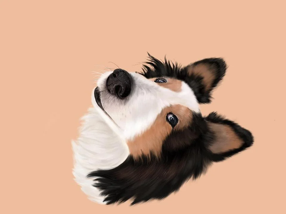 Pet Portraits 10.jpg