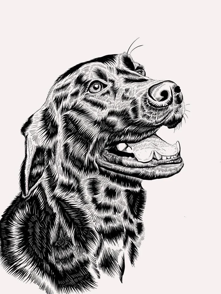 Pet Portraits 8.jpg
