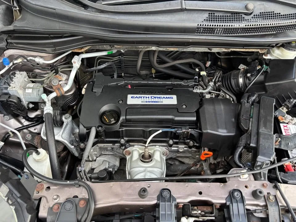 567742527_800668092576786_4686103815642706150_n.jpg