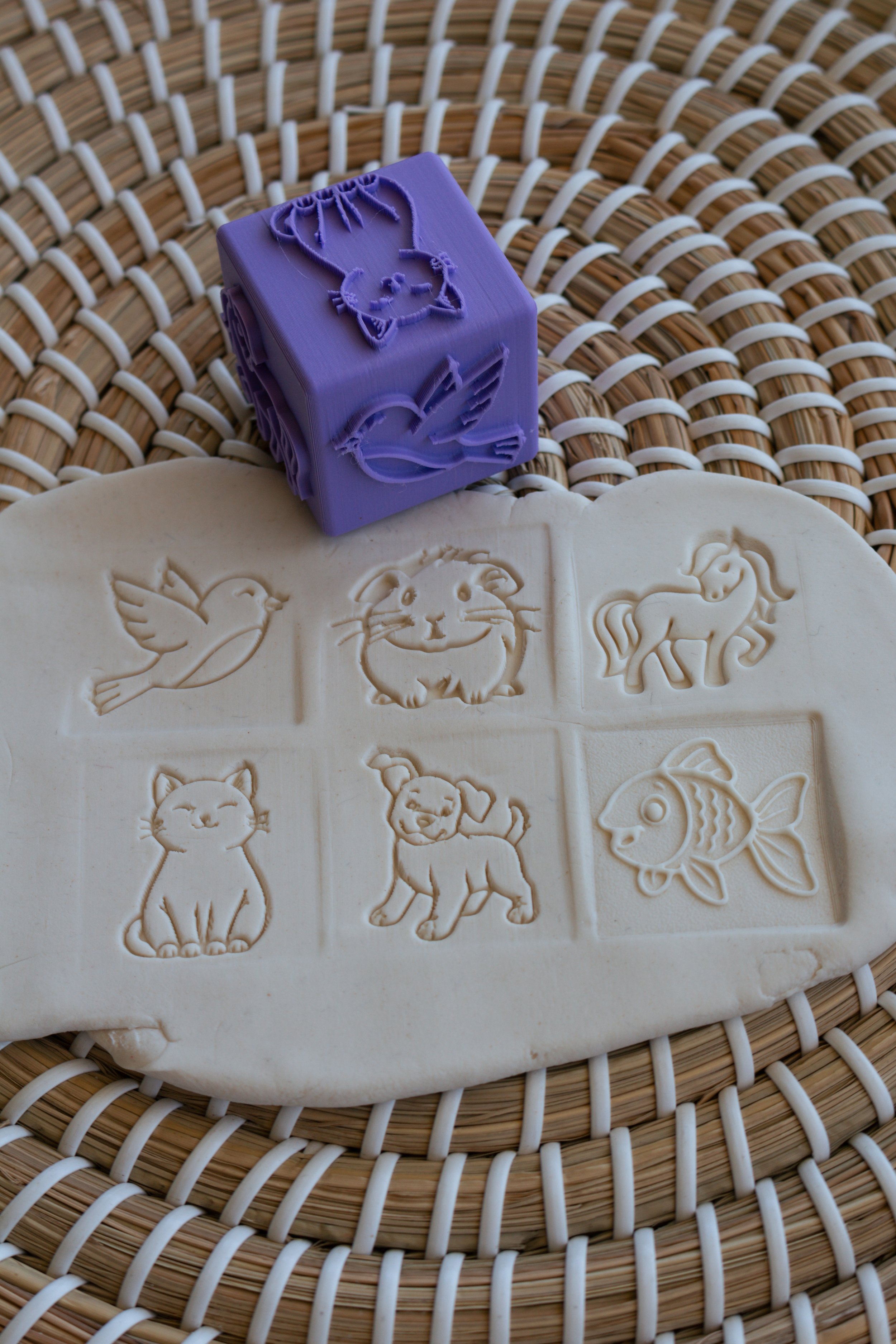Playdoh Cube Stamp - Pets