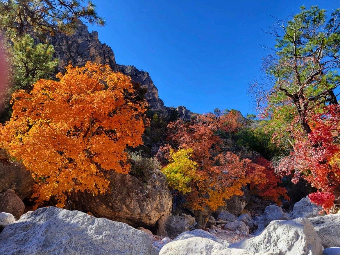 A Coastal Escape Like No Other