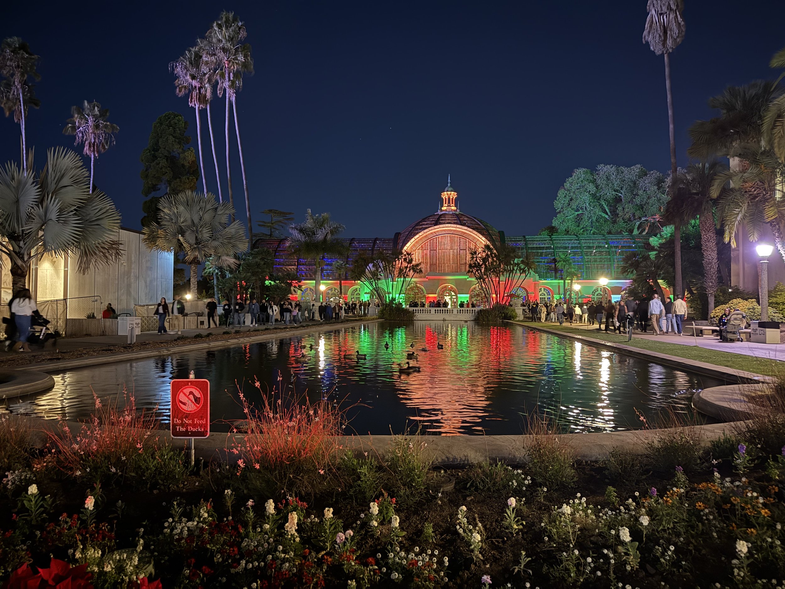 Local Secrets Best Spots for a Winter Wander in Carlsbad