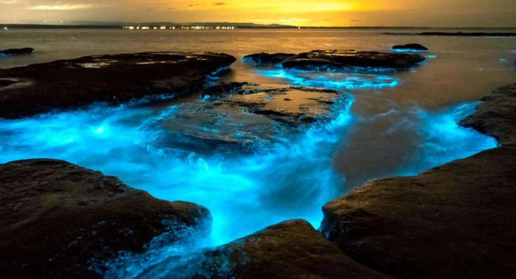 Hidden Natural Wonders in San Diego Only Locals Know