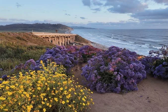 North County San Diego beaches Carlsbad best vacation rental