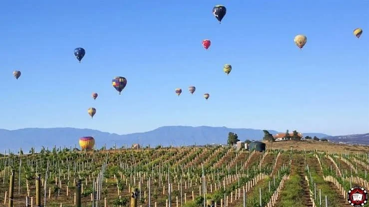 Temecula wine country day trip from Carlsbad vacation rental