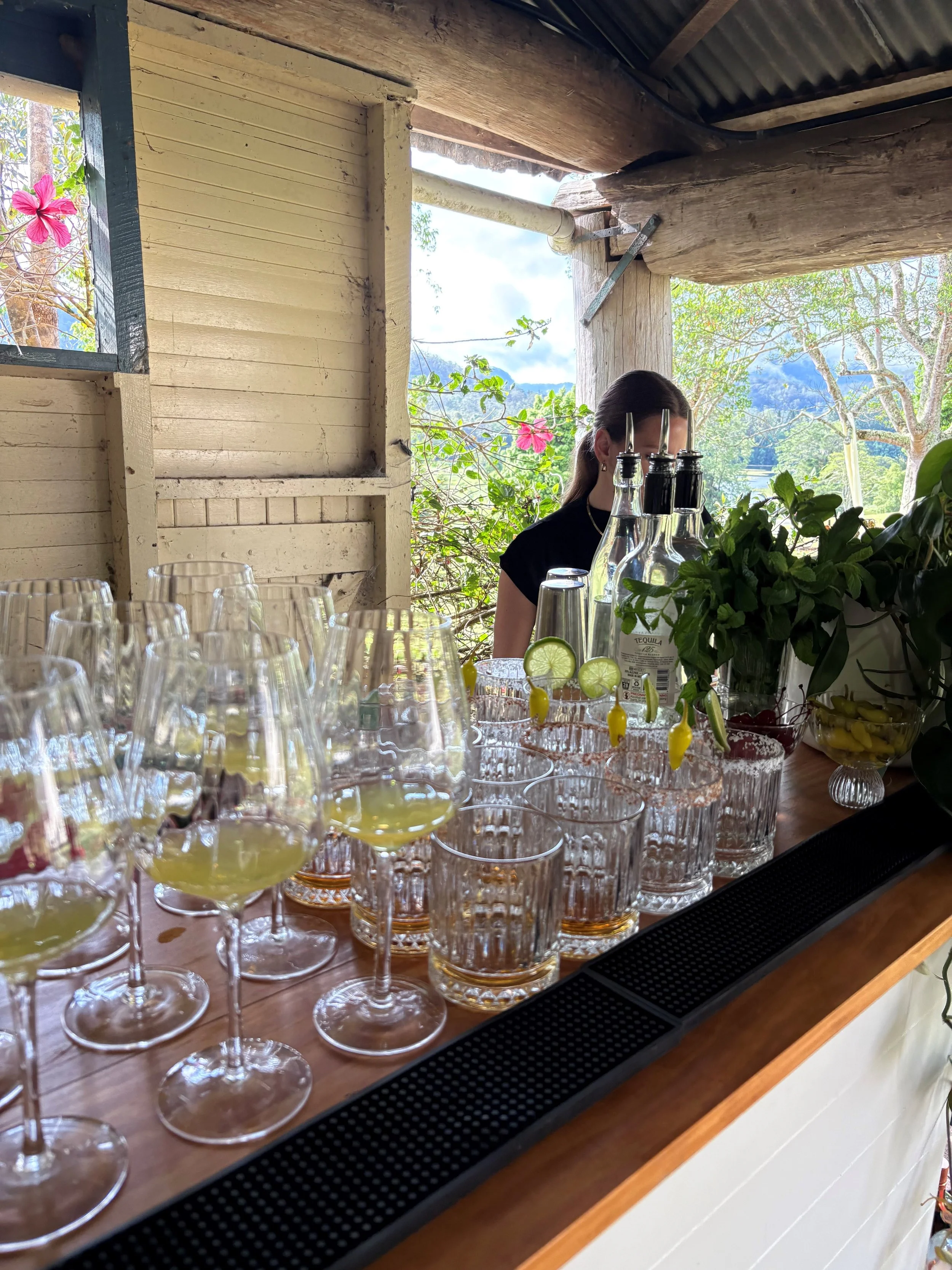 Lahni and Owen’s Wedding