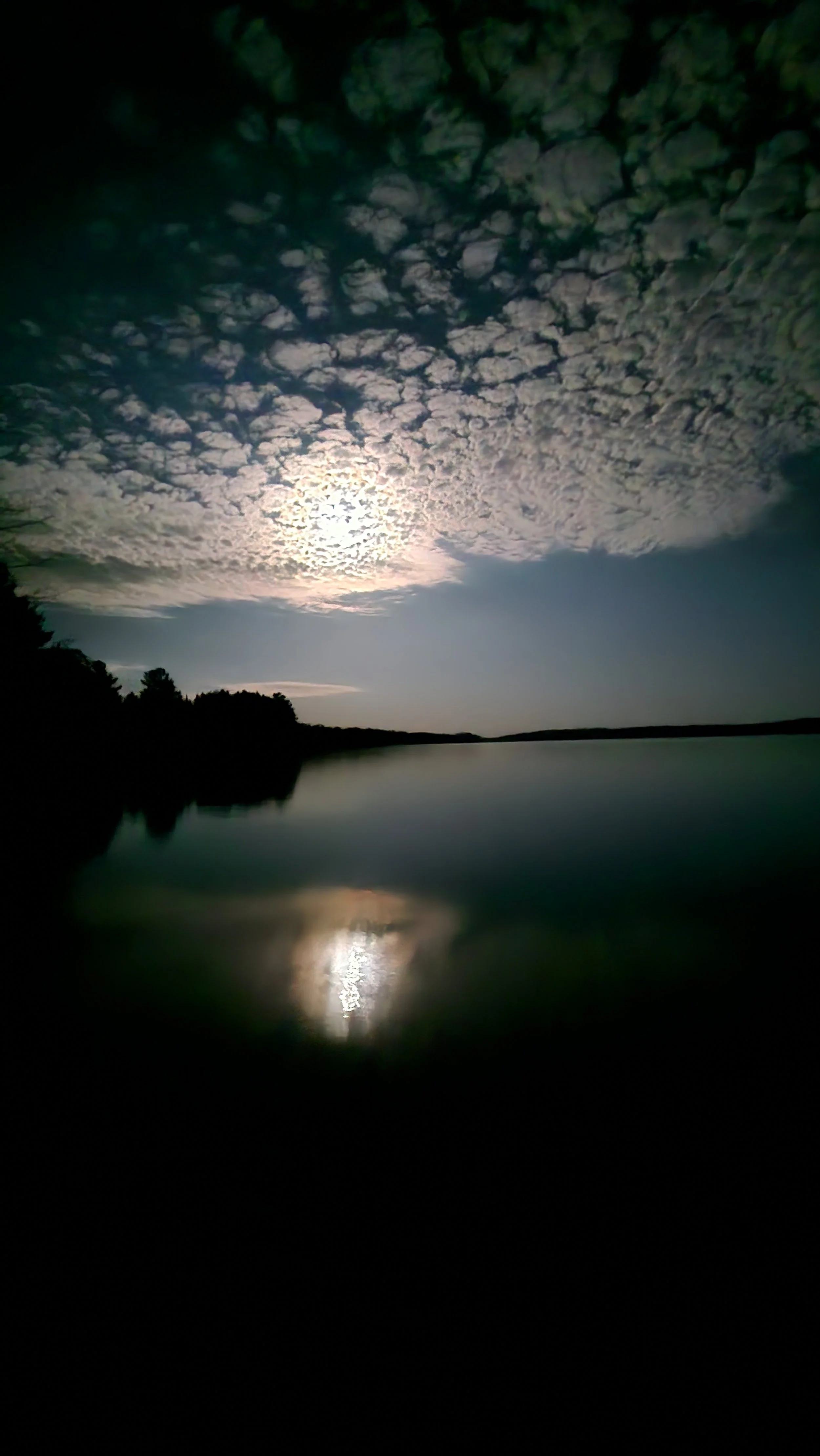 20250511_021024.jpg