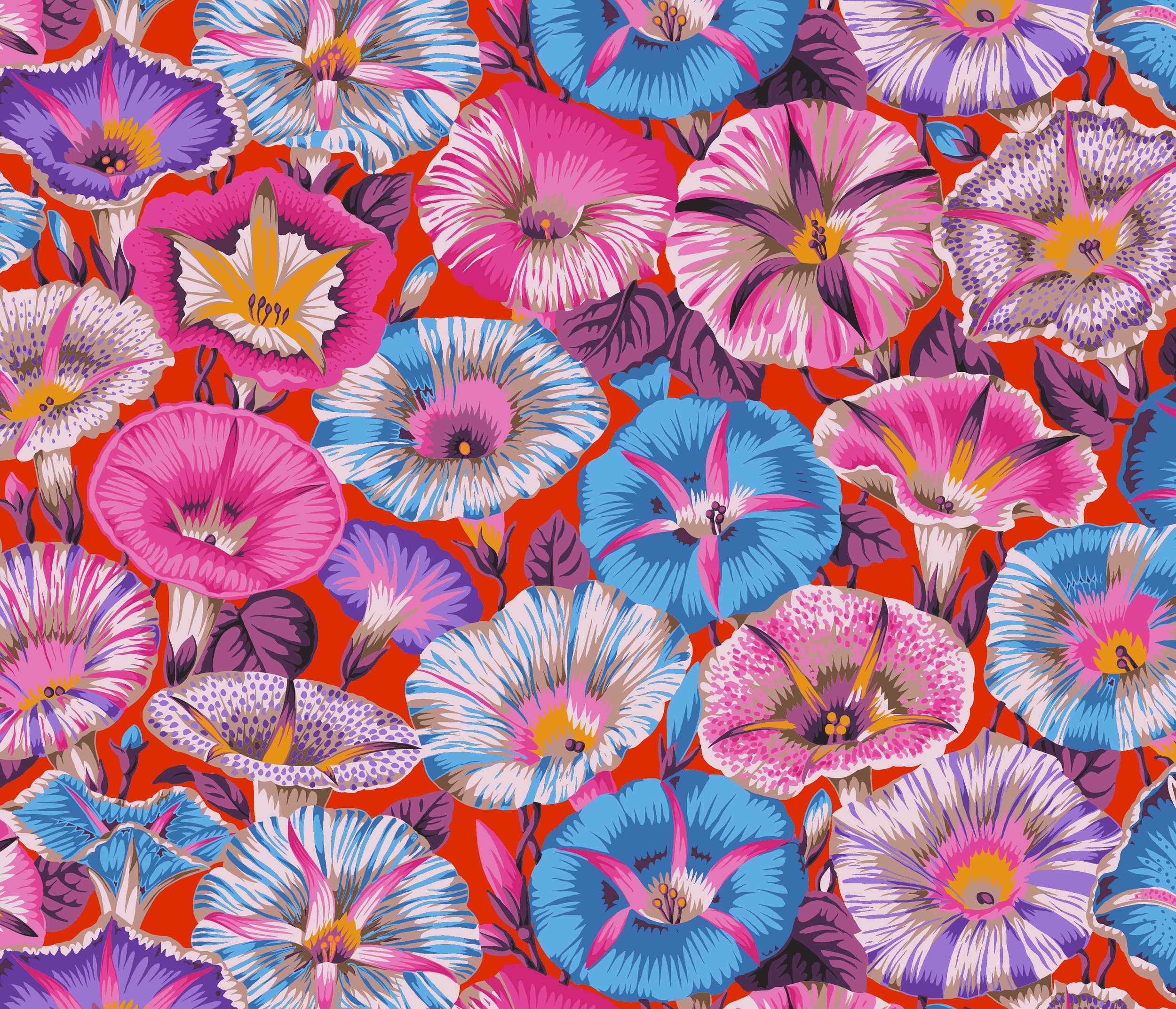 VARIEGATED MORNING GLORY Kaffe Fassett Collective
