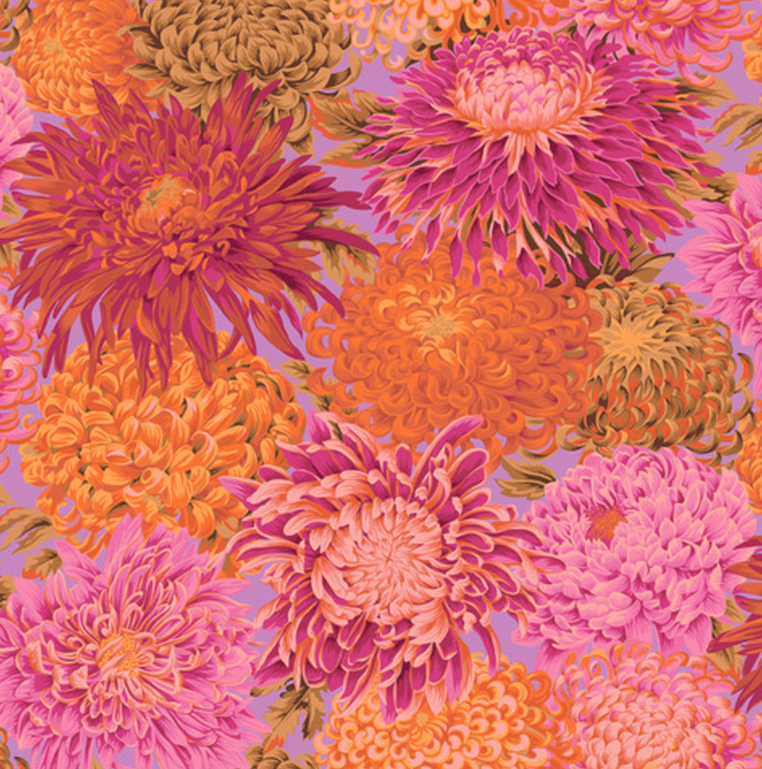 Japanese Chrysanthemum Pink