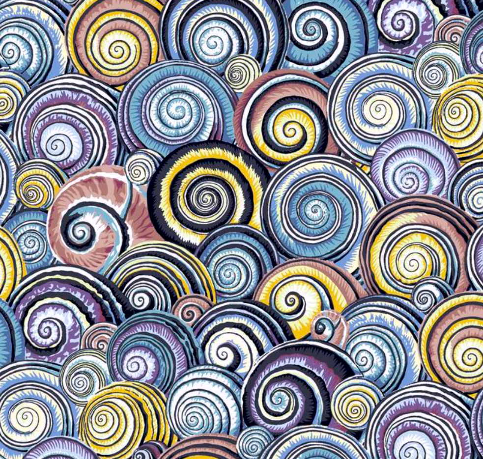 Spiral Shells Contrast.png