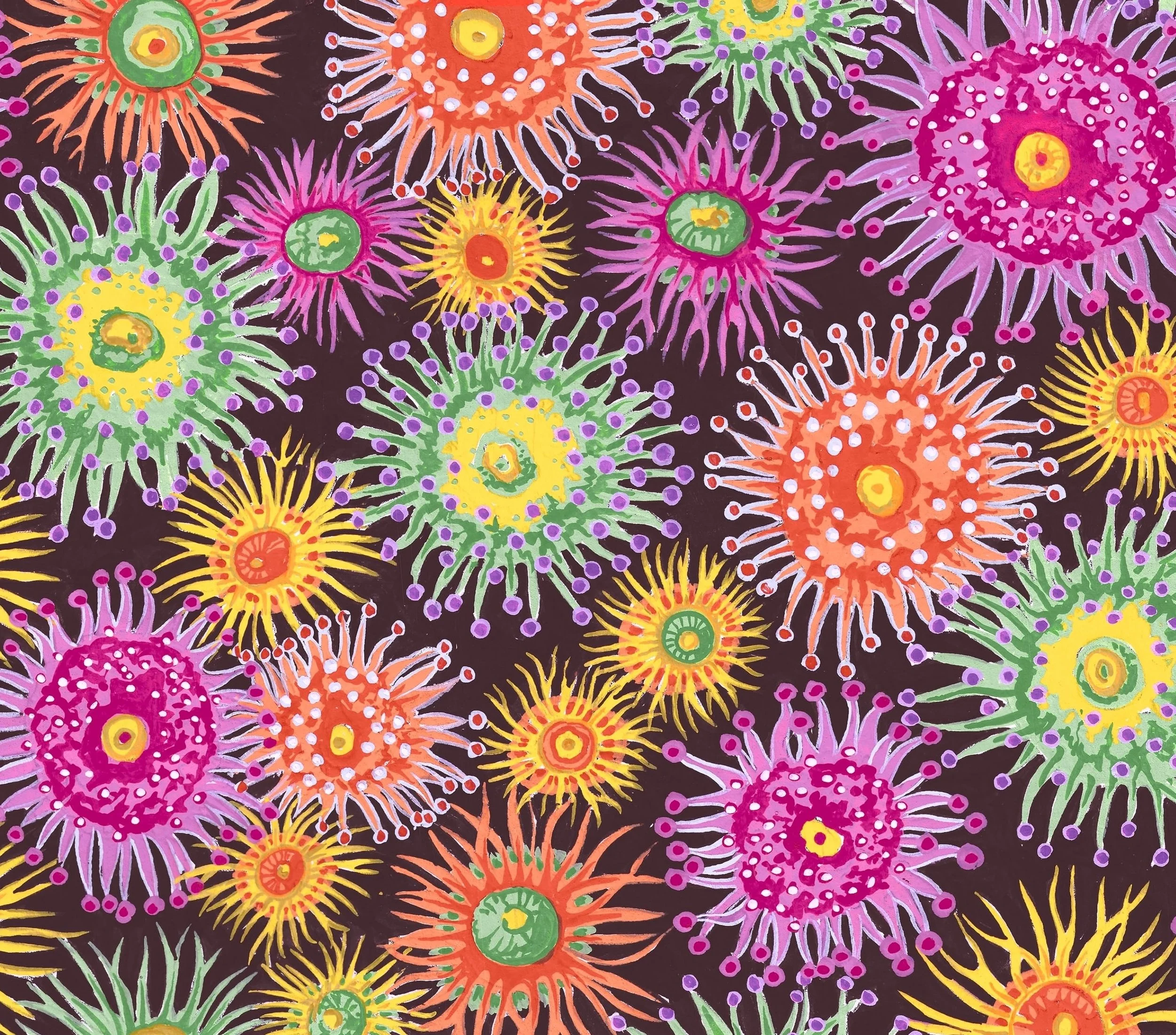 Sea Anenomes.DARK.jpg